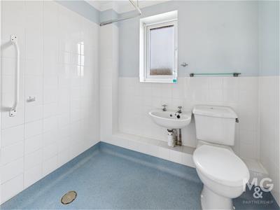Picture 7